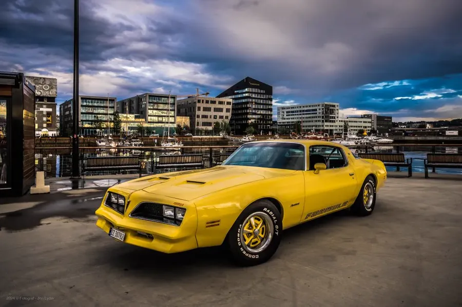 Motordetalj Firebird