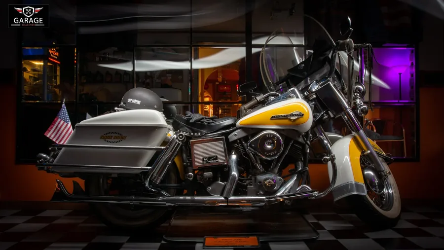 Gul Harley i kveldslys