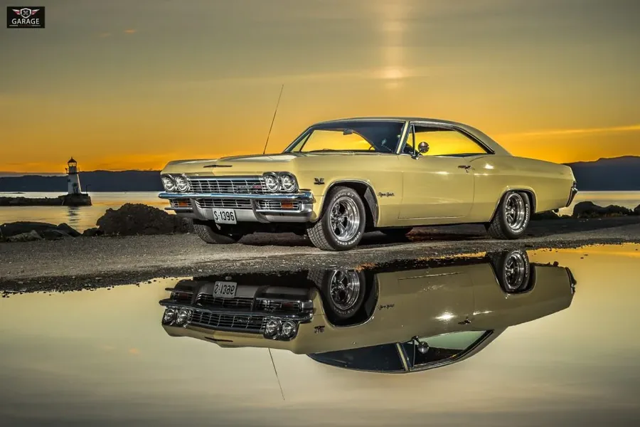 Impala bakfra