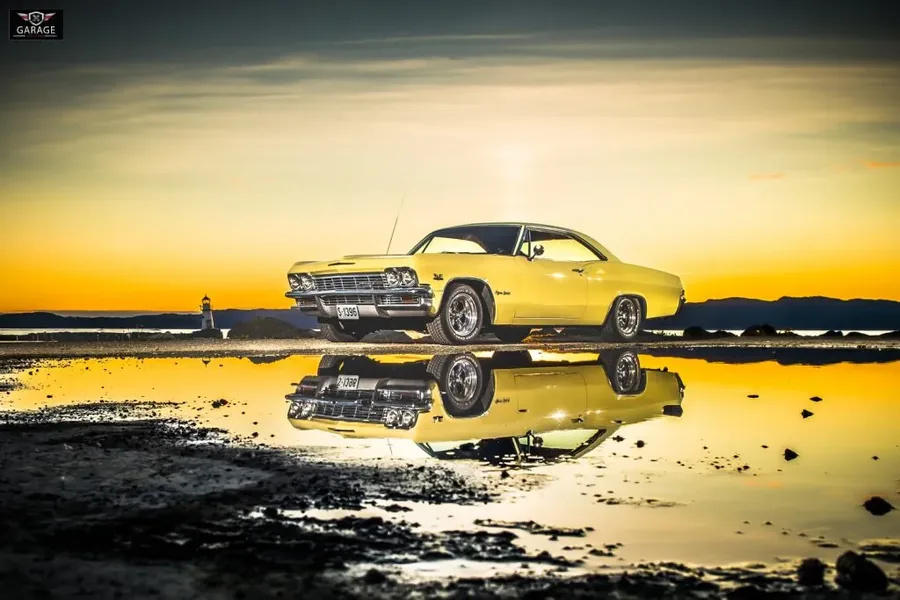 Impala i kveldslys